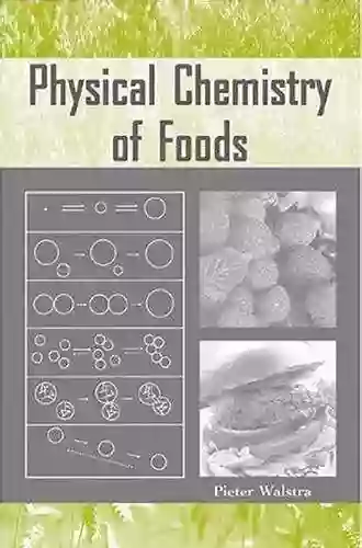 Physical Chemistry Of Foods (Food Science And Technology)