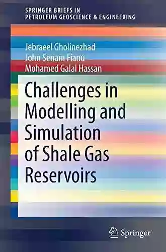 Challenges In Modelling And Simulation Of Shale Gas Reservoirs (SpringerBriefs In Petroleum Geoscience Engineering)