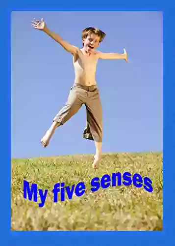 My Five Senses: See Hear Taste Smell And Feel (Jumpstart Baby Series)