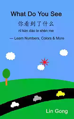 Chinese English Bilingual Picture Book: What Do You See: Learn Numbers Colors More