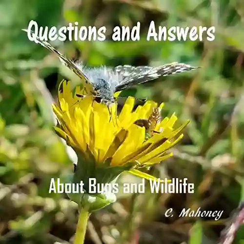 Questions And Answers About Bugs And Wildlife