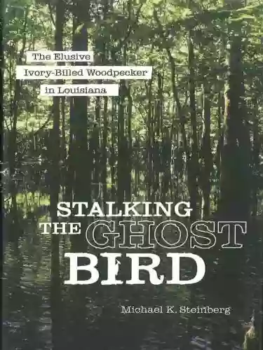 Stalking The Ghost Bird: The Elusive Ivory Billed Woodpecker In Louisiana