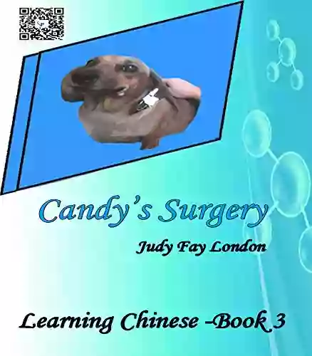 Candy S Surgery: Learning Chinese (Book Three) (Learning Chinese With Judy Fay London 3)