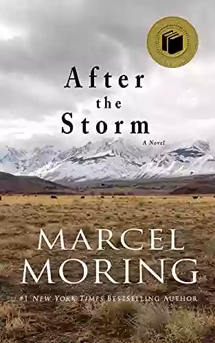 After The Storm: A Novel