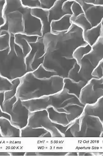 Graphene Surfaces: Particles And Catalysts (ISSN 27)