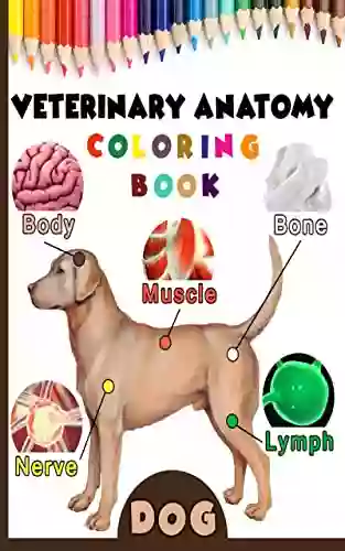 Veterinary Anatomy Coloring Dog Anatomy Veterinary Physiology Workbook: 70 Pages 8 5 x 11 For Vet Nurses And Students