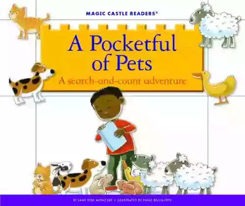 A Pocketful Of Pets: A Search And Count Adventure (Magic Castle Readers)