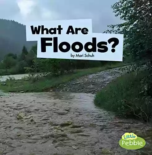 What Are Floods? (Wicked Weather)