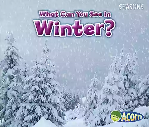 What Can You See In Winter? (Seasons)