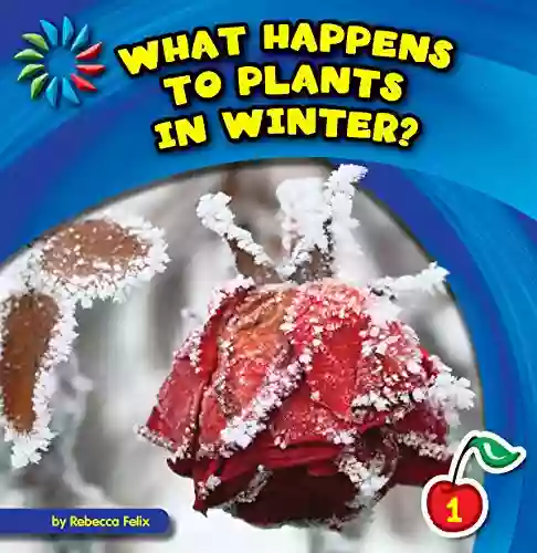 What Happens To Plants In Winter? (21st Century Basic Skills Library: Let S Look At Winter)