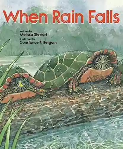 When Rain Falls (Place For )