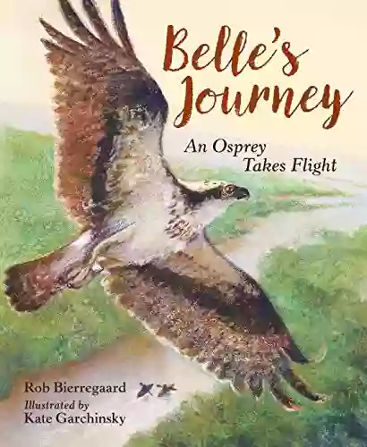 Belle S Journey: An Osprey Takes Flight