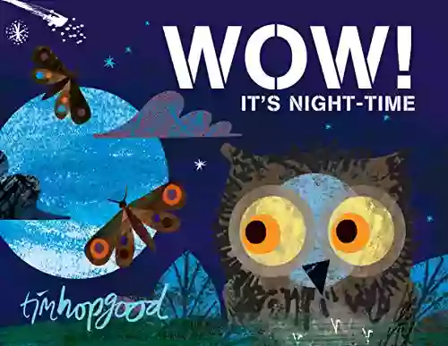 WOW It S Night Time Tim Hopgood