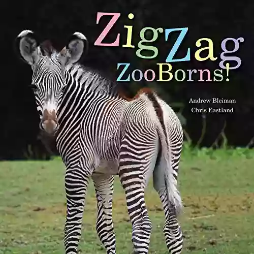 ZigZag ZooBorns : Zoo Baby Colors and Patterns