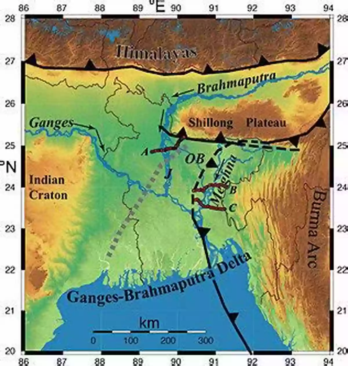 A Bengal Tiger Roaming Freely In The Ganga Brahmaputra Meghna Delta National Park Rivers Of The Ganga Brahmaputra Meghna Delta: A Fluvial Account Of Bengal (Geography Of The Physical Environment)