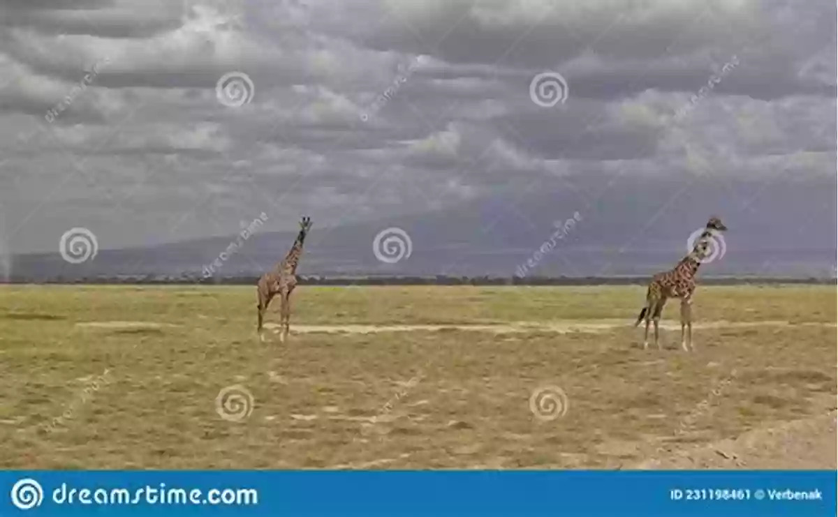 A Graceful Giraffe Standing Tall On The African Savanna Dinosaurs: Fun Facts Photos Of Animals For Kids (Discover Our Planet Series)