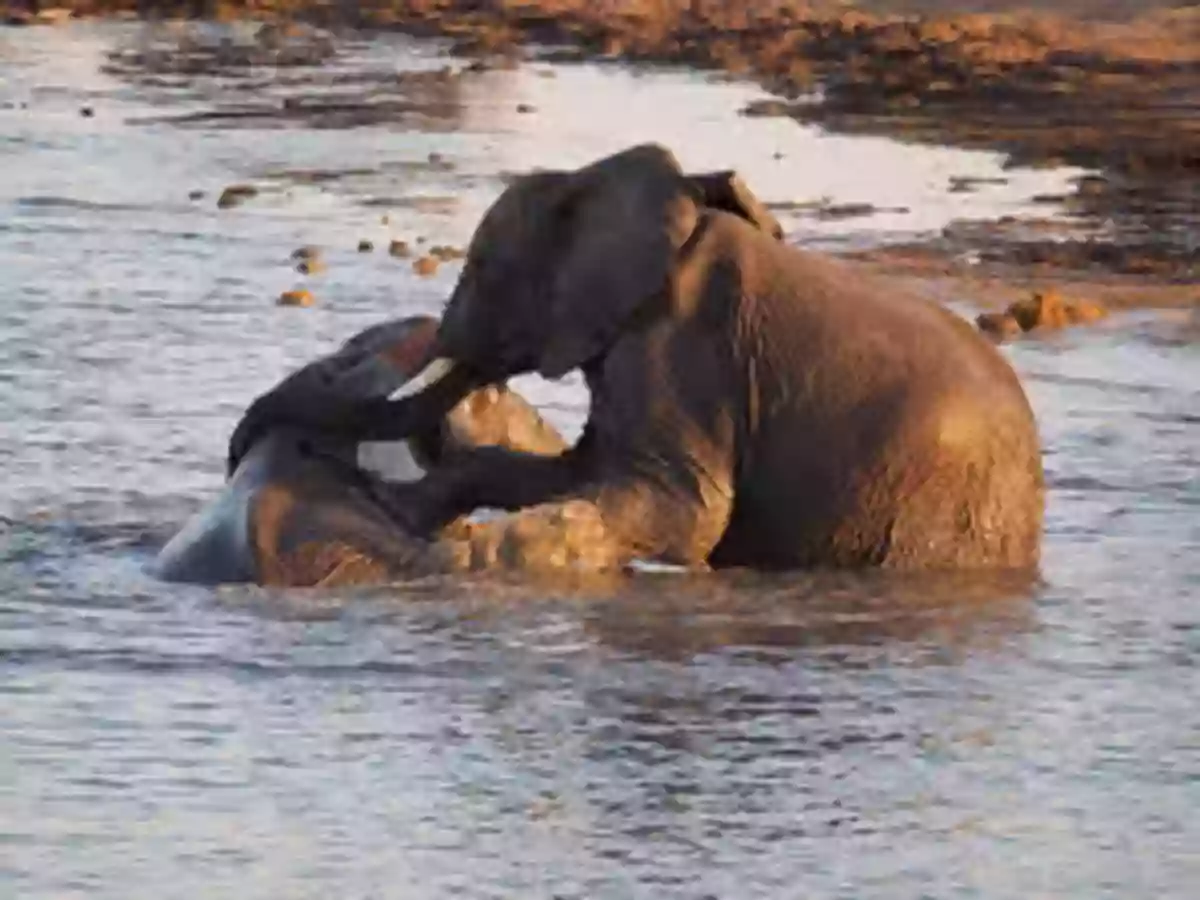 A Herd Of Playful Elephants Splashing In A Waterhole Dinosaurs: Fun Facts Photos Of Animals For Kids (Discover Our Planet Series)