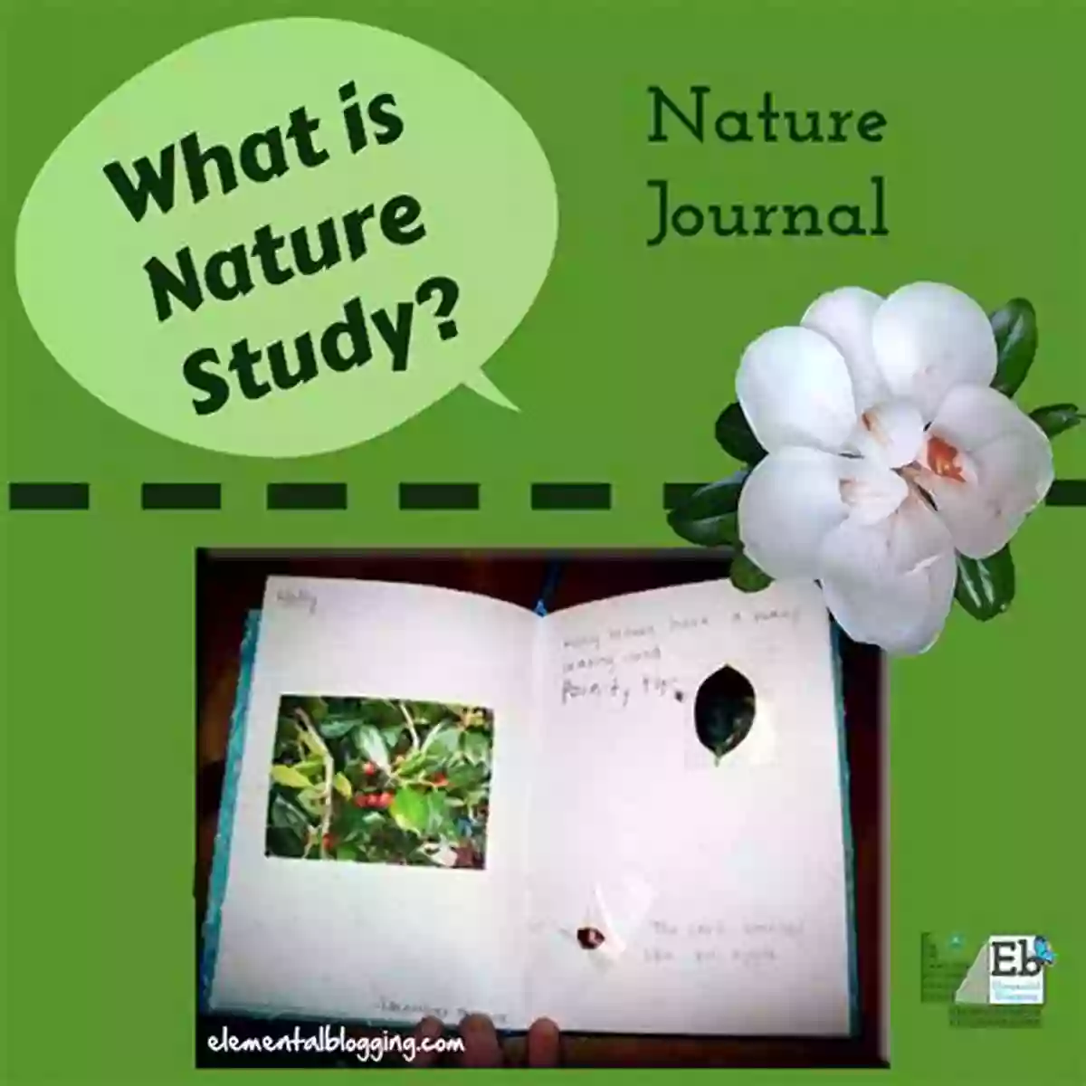 A Study Of Nature Environmental Science William Harvey