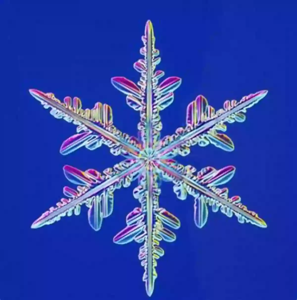 A Beautiful Piece Of Artwork Inspired By The Delicate Beauty Of Snowflakes Snow Flakes: A Chapter From The Of Nature