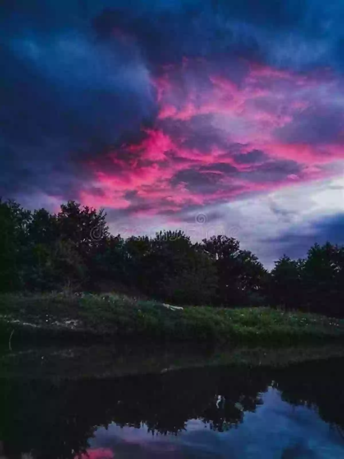 A Breathtaking Sunset Over A Lush Forest Natural Capital: Valuing The Planet