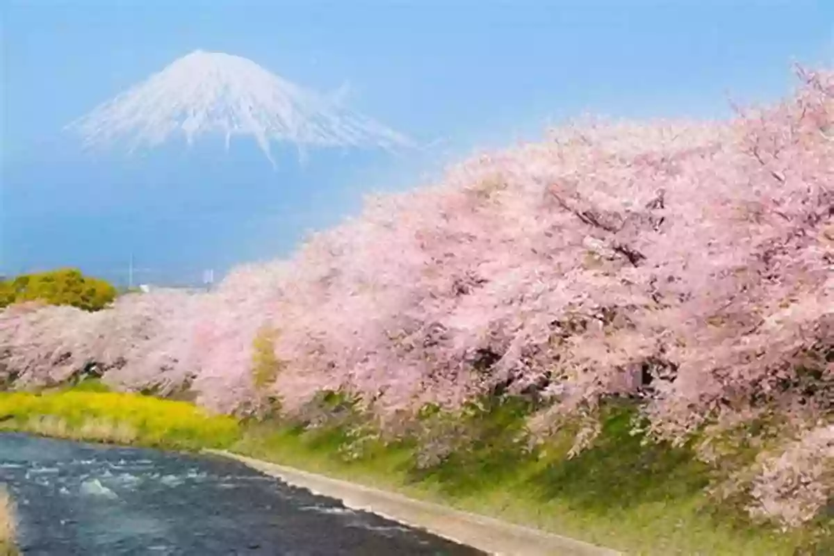 A Breathtaking View Of Mount Fuji Draped In Cherry Blossoms During Spring In Japan A Beginner S Guide To Japan: Observations And Provocations