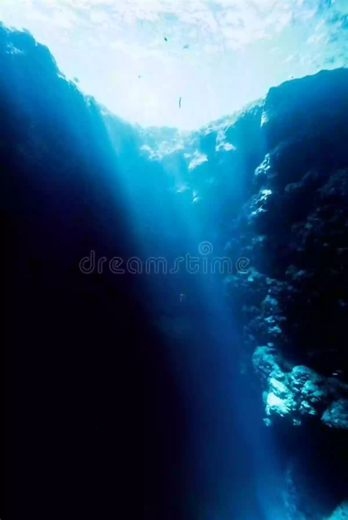 A Breathtaking View Of An Underwater Cave Illuminated By Rays Of Sunlight Coral Reefs: A Journey Through An Aquatic World Full Of Wonder