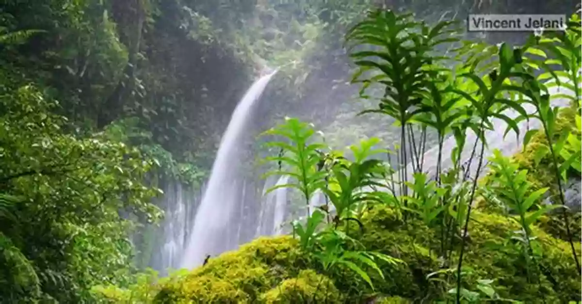 A Captivating Photograph Capturing The Ambiance Of Southeast Asian Rainforests Where The Wildman Is Said To Dwell Images Of The Wildman In Southeast Asia: An Anthropological Perspective