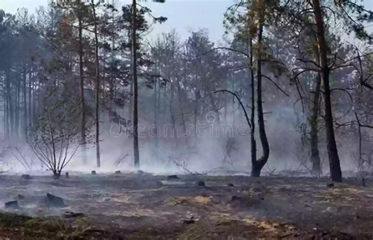 A Charred Landscape After A Wildfire, With Trees Reduced To Ashes And Smoke Still Lingering In The Air Wildfires Seymour Simon