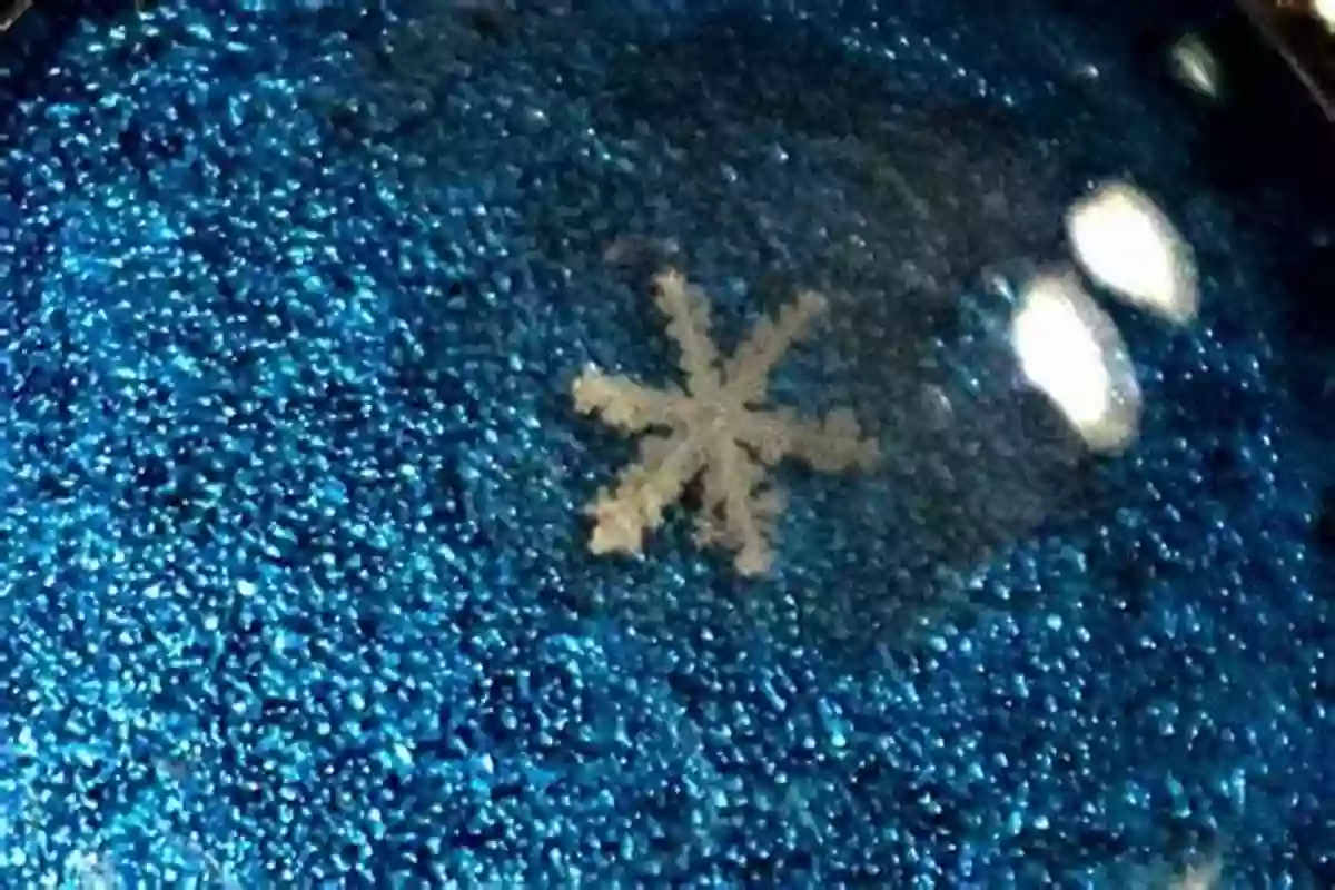 A Close Up Photograph Of A Perfectly Preserved Snowflake Snow Flakes: A Chapter From The Of Nature