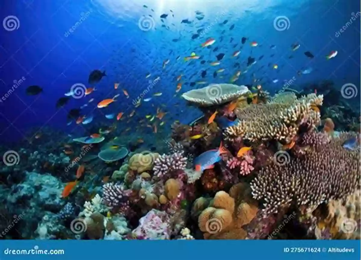 A Colorful Coral Reef Teeming With Fish And Other Marine Life Coral Reefs: A Journey Through An Aquatic World Full Of Wonder