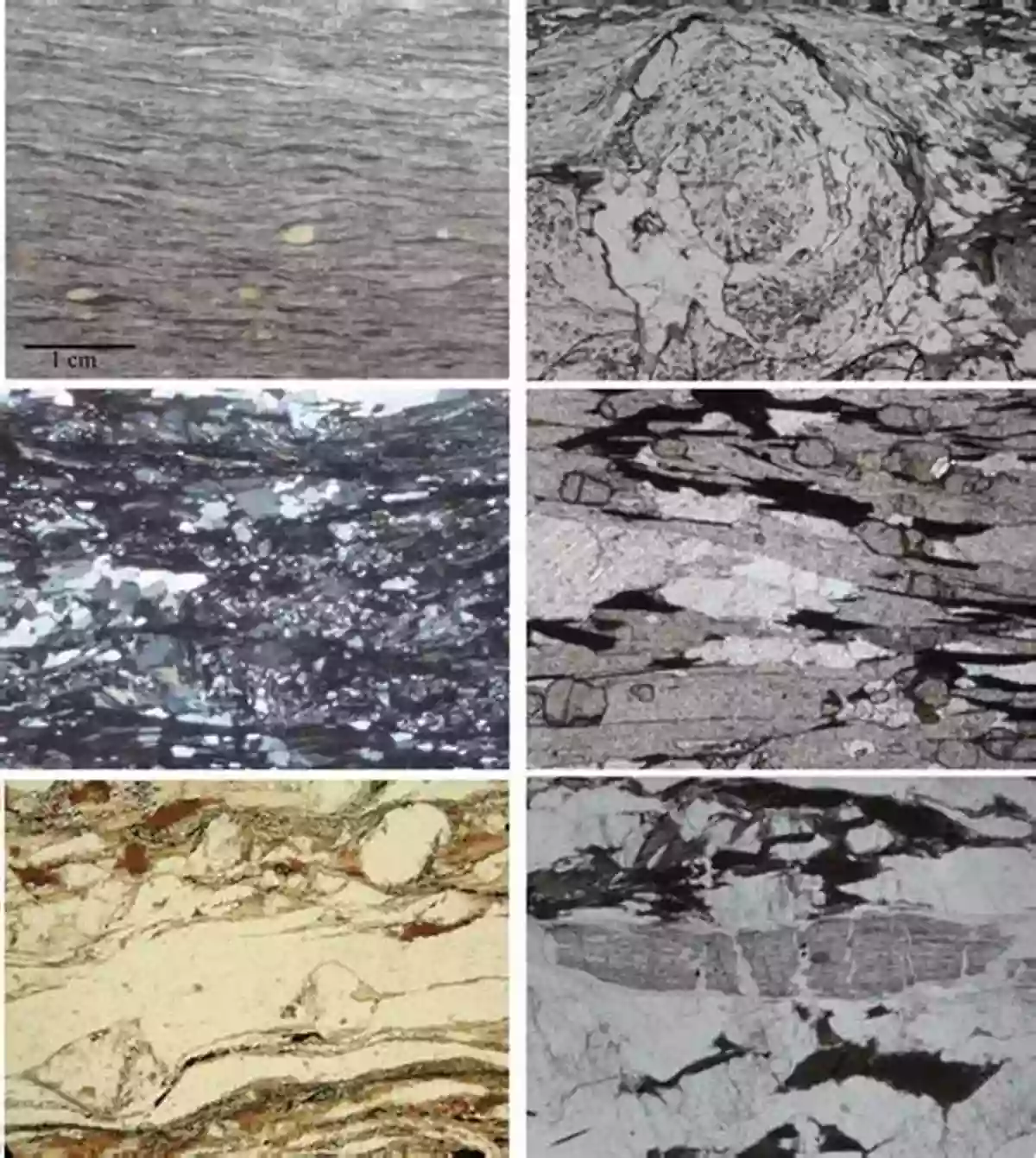 A Depiction Of Shearing In Metamorphic Rocks Structural Geology: The Mechanics Of Deforming Metamorphic Rocks