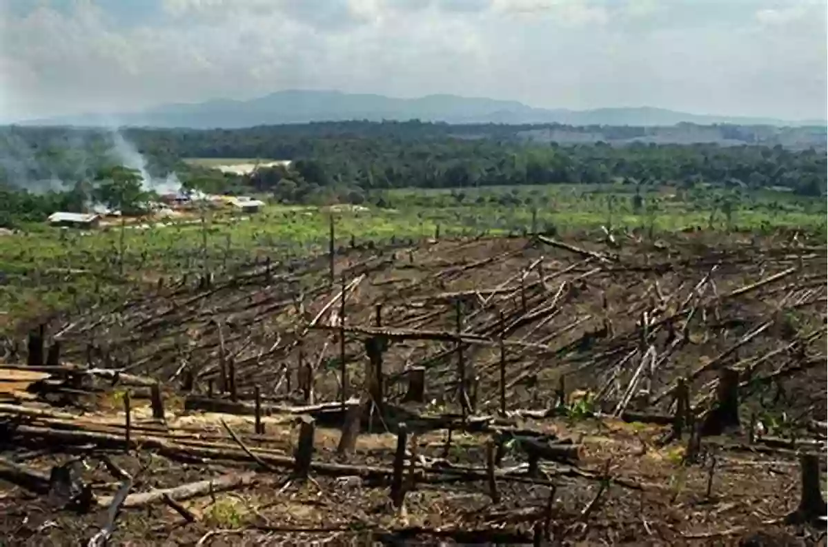 A Devastated Landscape Due To Oil Palm Plantations Plantation Life: Corporate Occupation In Indonesia S Oil Palm Zone