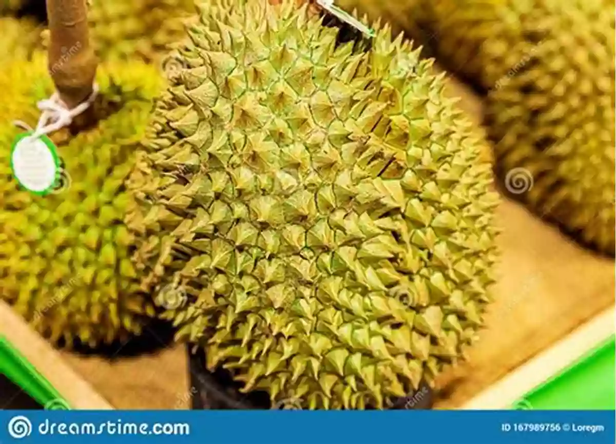 A Durian Fruit With Its Spiky Exterior Ultimate Fun Facts On Fruits Vegetables: 4 Of 4 (Fun Facts On Fruits And Vegetables)