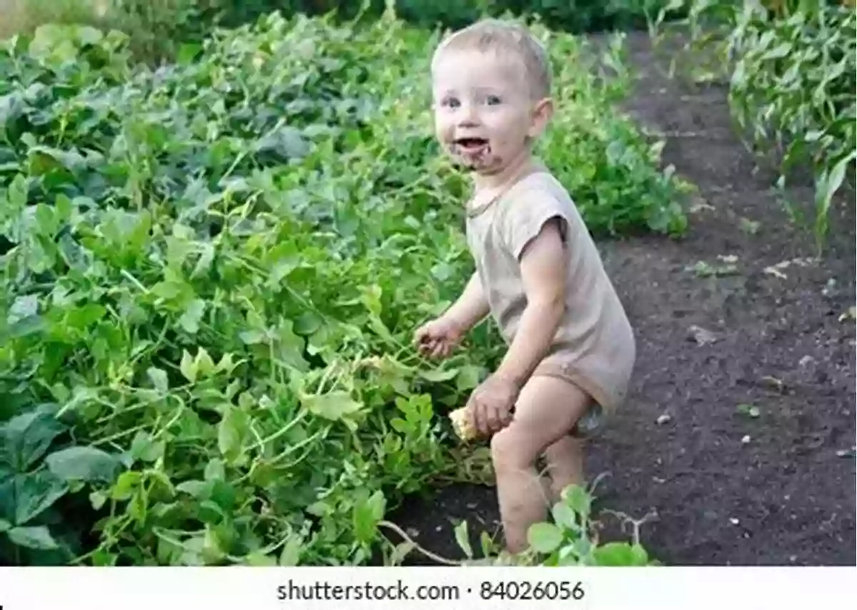 A Happy Toddler Exploring A Garden My First Words In The Garden: A Fun Learning Activity Game For Kids 1 3 Year Old S