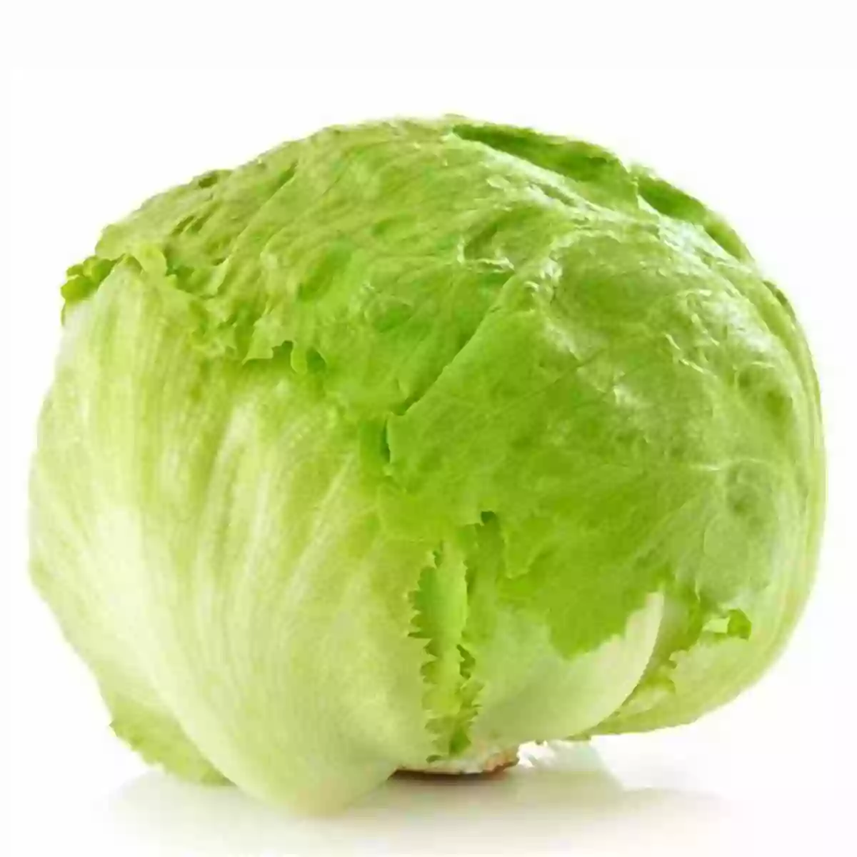 A Head Of Iceberg Lettuce Ultimate Fun Facts On Fruits Vegetables: 4 Of 4 (Fun Facts On Fruits And Vegetables)