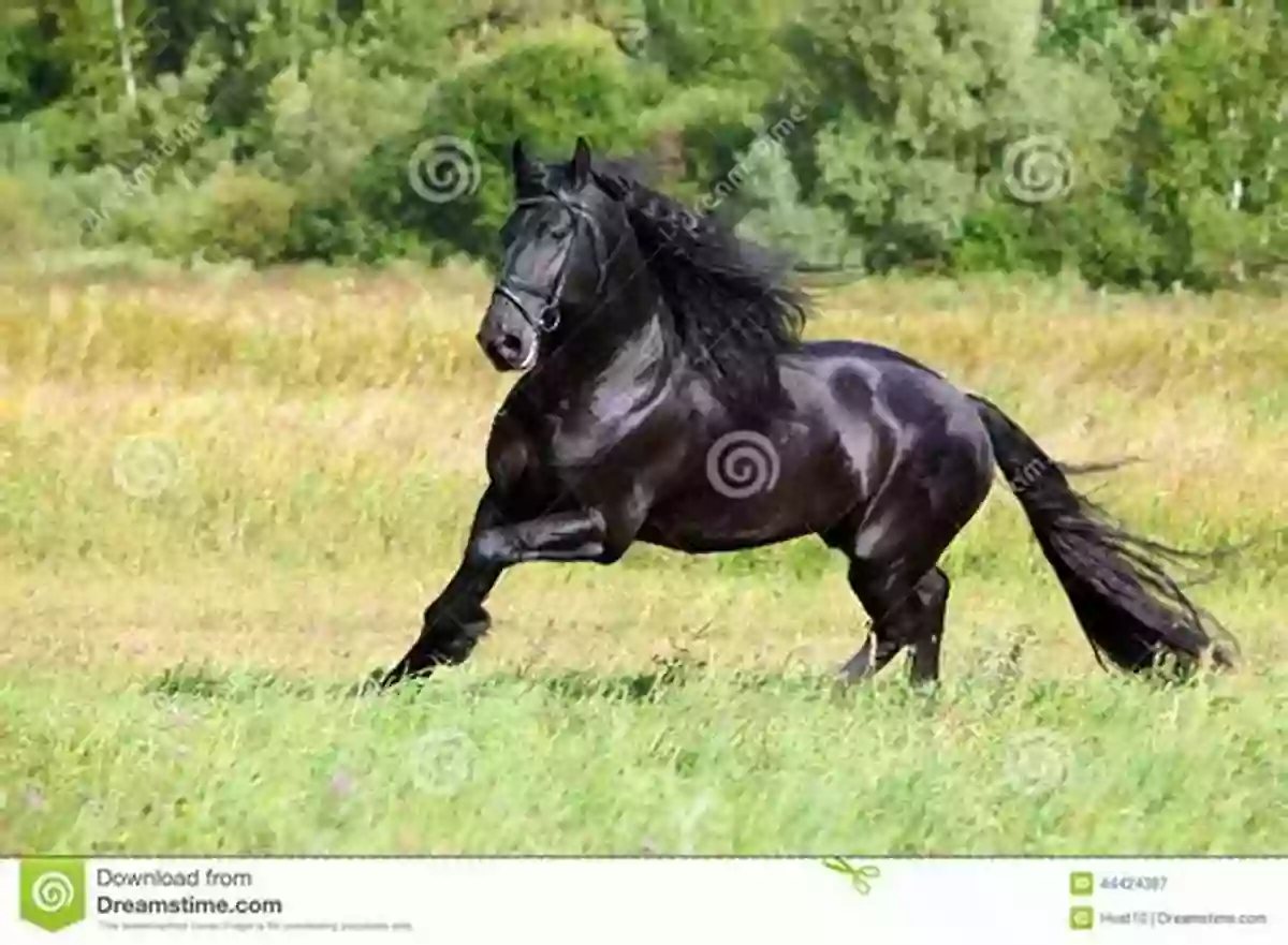 A Majestic Horse Galloping In A Field Farm Animals / Animales De Granja (Xist Kids Bilingual Spanish English)