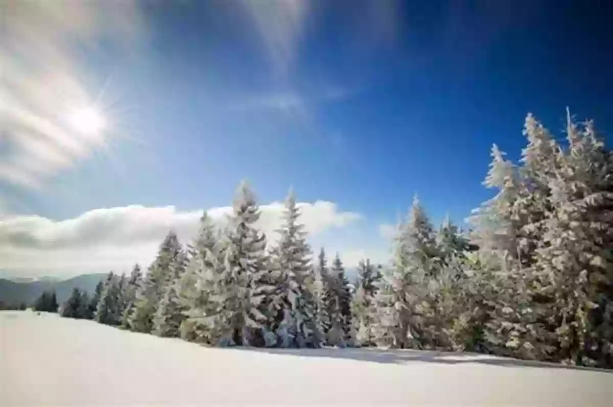 A Mesmerizing Snowy Landscape In The Winter What Can I See In The Winter? (The Seasons)