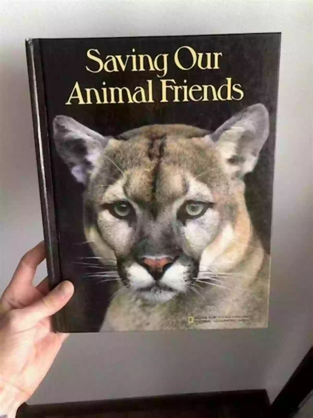 A Passionate Animal Rights Activist Holding A Sign That Says 'Save Our Animal Friends' Saving Animals: A Future Activist S Guide