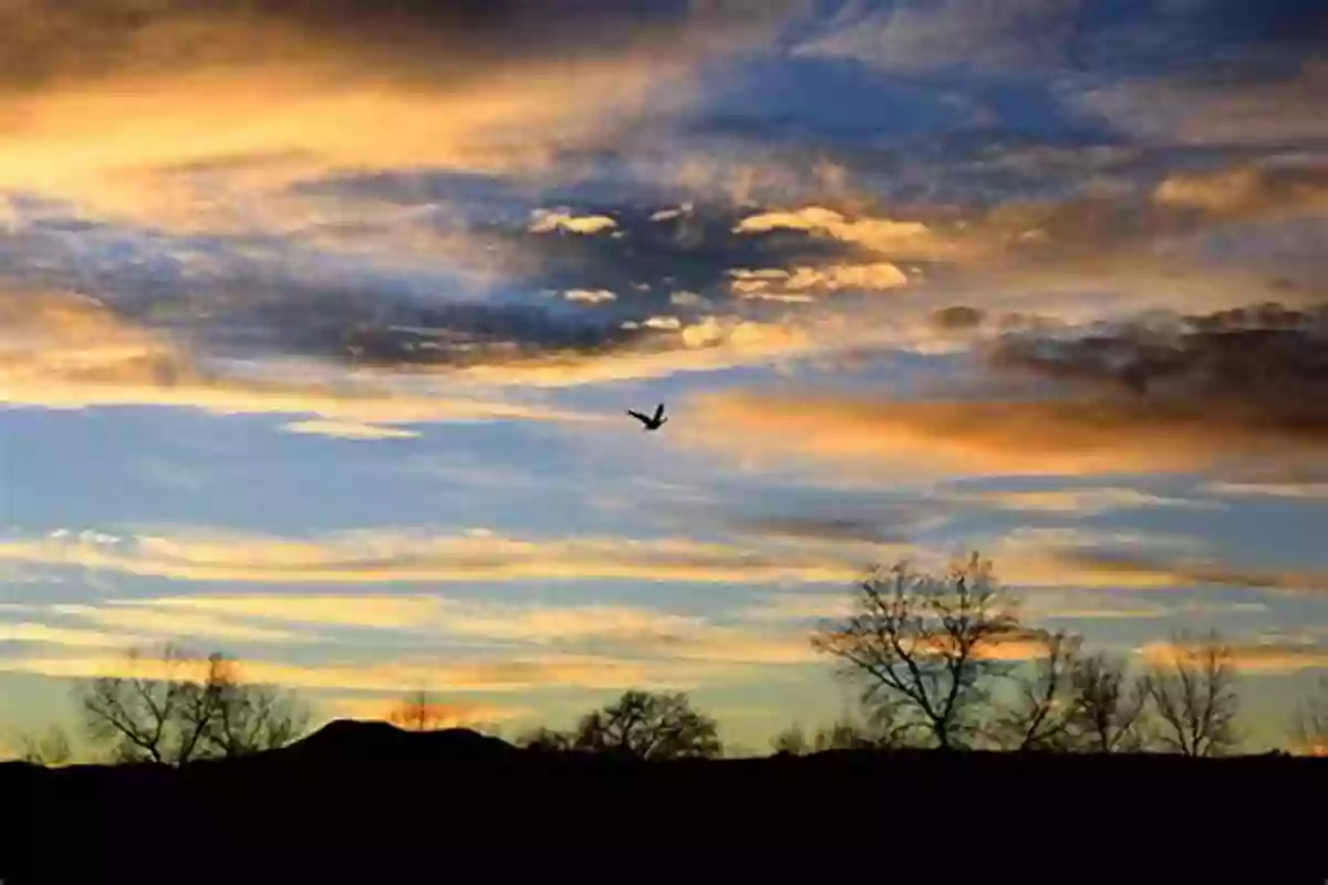 A Picturesque Upland Landscape With Birds Soaring In The Sky Uplands And Birds (Collins New Naturalist Library)