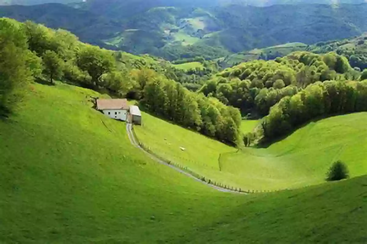 A Picturesque View Of Forests, Fields, And Shores In France French Countryside Cooking: Inspirational Dishes From The Forests Fields And Shores Of France