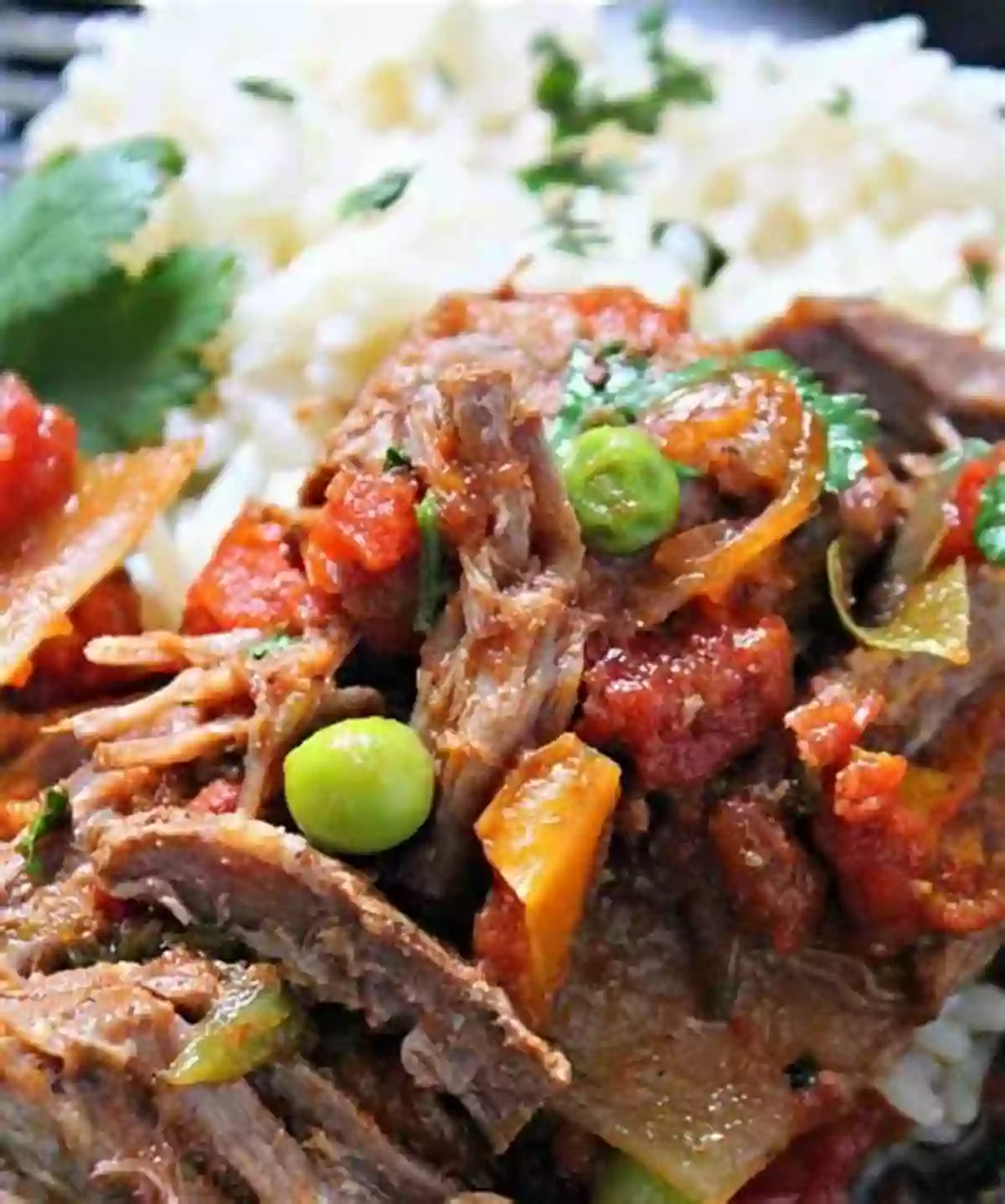 A Plate Of Ropa Vieja With Rice And Tortillas Cuban Cookbook: Traditional Cuban Recipes Made Easy: Cuban Recipes With Ground Beef