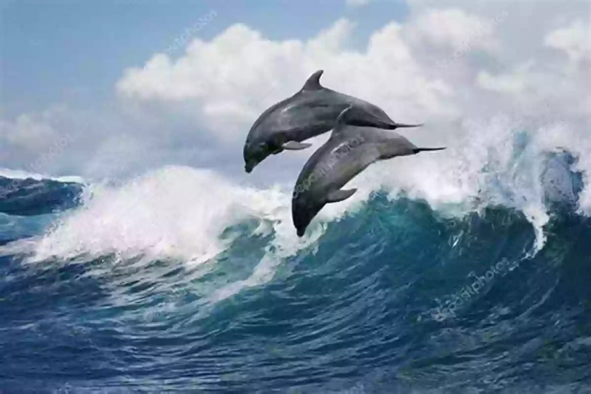 A Playful Pod Of Dolphins Leaping In The Ocean During Summer Ocean Seasons Ron Hirschi