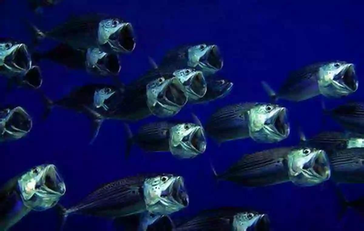 A School Of Fish Moving In Synchrony Through The Blue Waters Coral Reefs: A Journey Through An Aquatic World Full Of Wonder