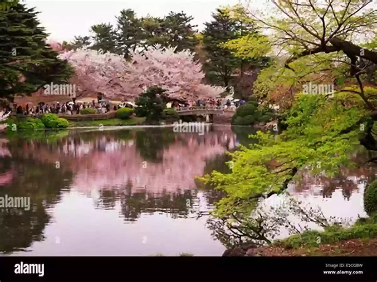 A Serene Image Of A Japanese Garden With Blossoming Cherry Trees – Reflecting The Beauty Depicted In Haiku Poetry The Art Of Haiku: Its History Through Poems And Paintings By Japanese Masters