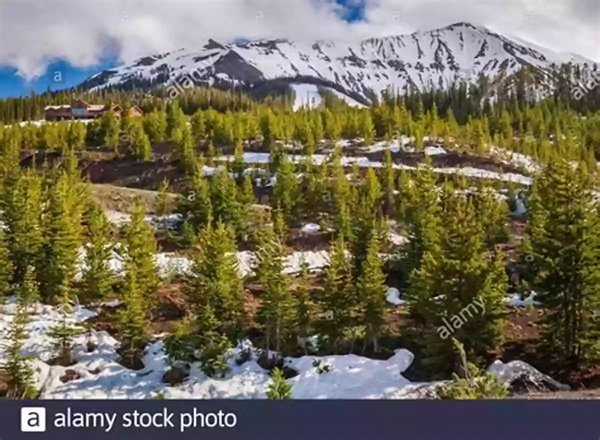 A Serene Winter Landscape With Snow Capped Mountains And Pine Trees Bathed In Moonlight Riverboat: The Winter Comes Der Winter Kommt : Bilingual Children S Picture English German (Riverboat Bilingual 5)