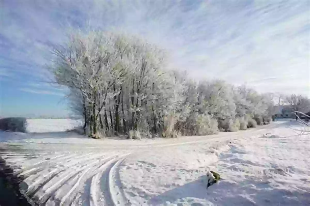 A Snow Covered Landscape In Denmark During Winter Weather And The Seasons DK