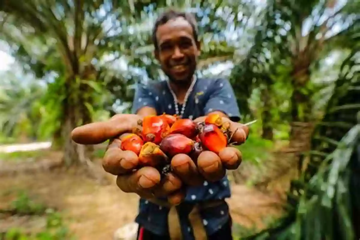 A Sustainable Palm Oil Plantation Plantation Life: Corporate Occupation In Indonesia S Oil Palm Zone