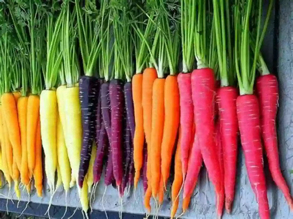 A Variety Of Colorful Carrots Ultimate Fun Facts On Fruits Vegetables: 4 Of 4 (Fun Facts On Fruits And Vegetables)