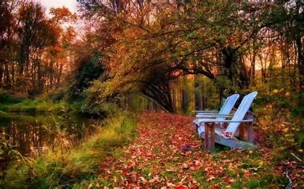 A Vibrant Autumn Landscape With Colorful Trees In A Park Who Paints The Trees In Autumn? (Who Paints The Four Seasons? 1)