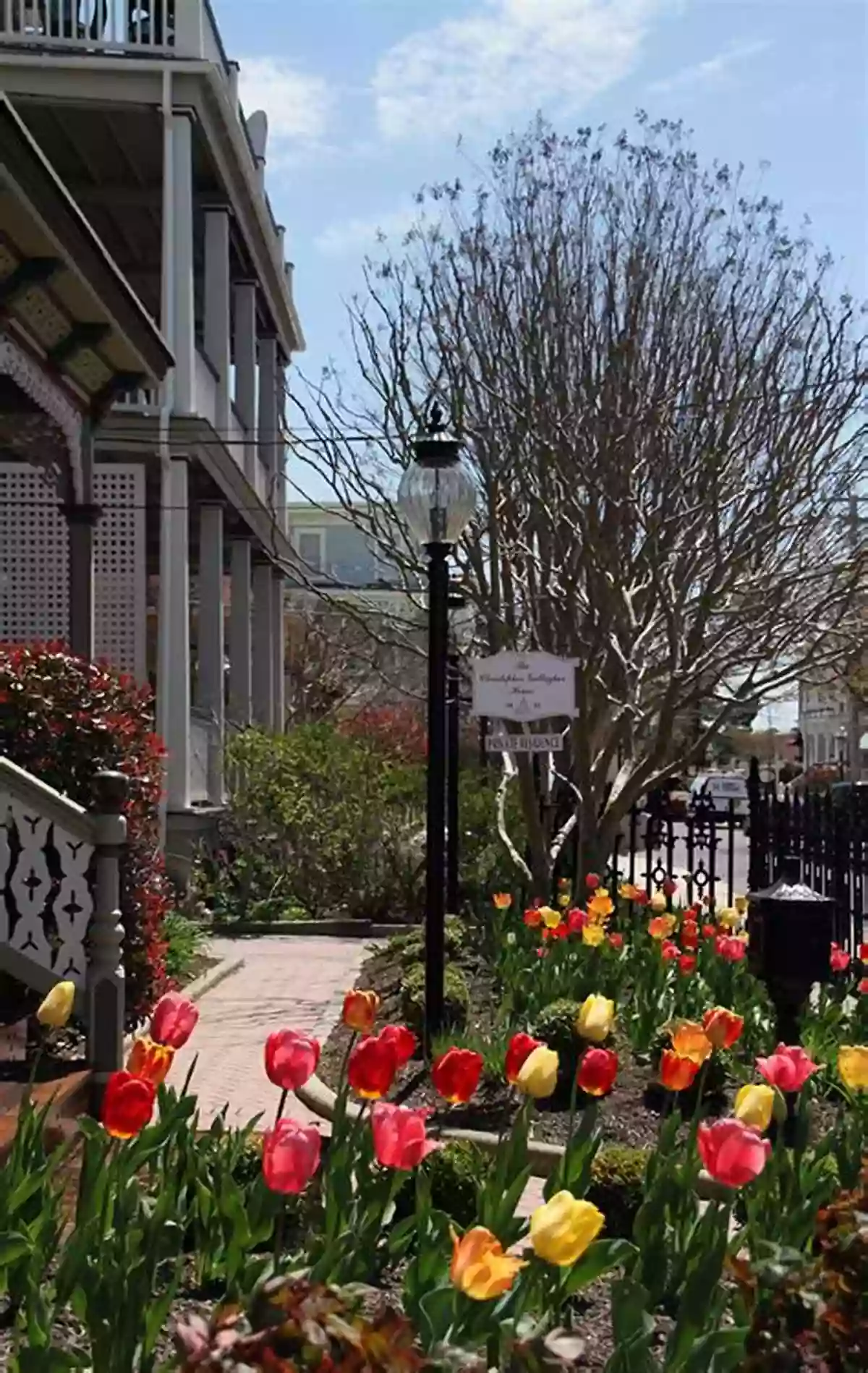 A View Of Colorful Flowers In Full Bloom At The Cape May Garden Cape May The Cape May Garden (Cape May 1)